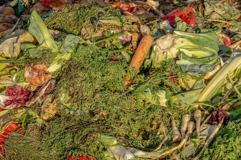 Jak przebiega recykling bioodpadów?